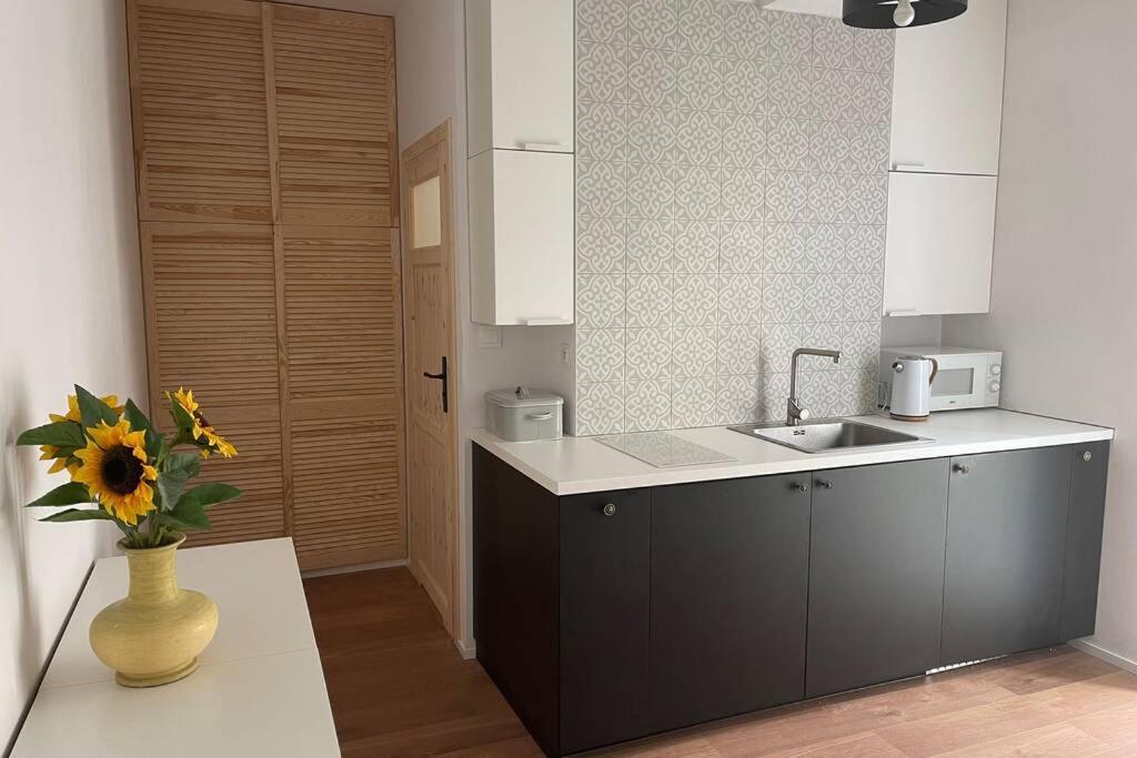 הל Apartament Seagull 30M2 מראה חיצוני תמונה
